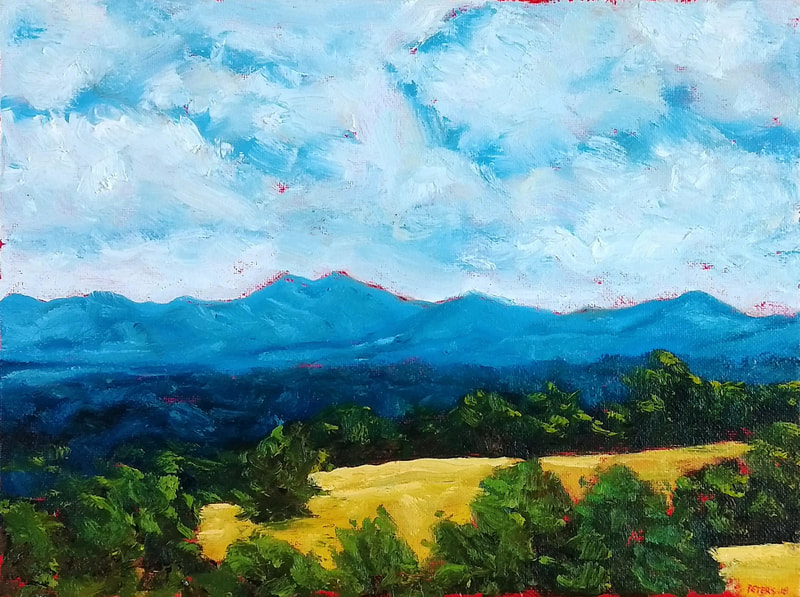 "View from Biltmore #1" 9x12 inches